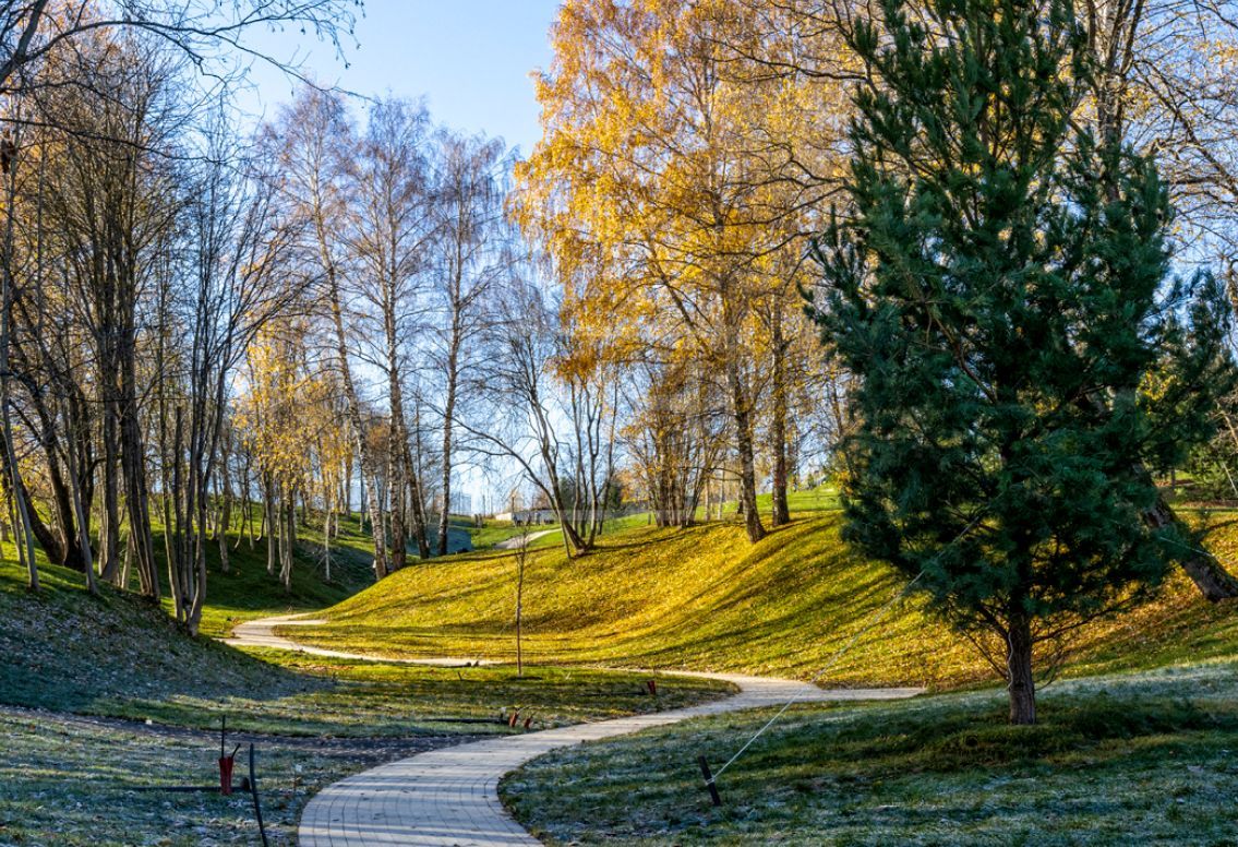 Земельный участок в КП Кристалл Истра - фото 2