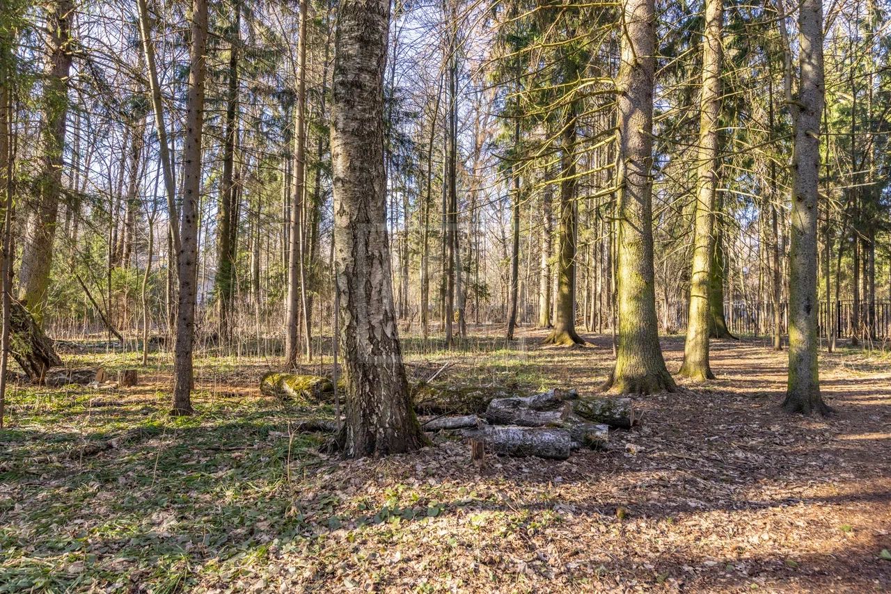 Лесной участок на Рублевке - фото 6