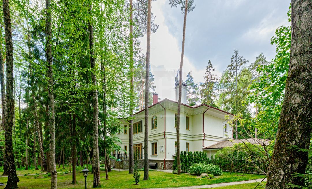 Классика на лесном участке - фото 4