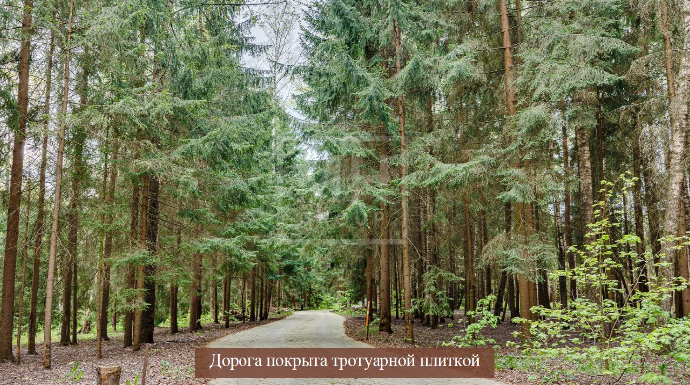 Лесной участок для строительства резиденции - фото 2