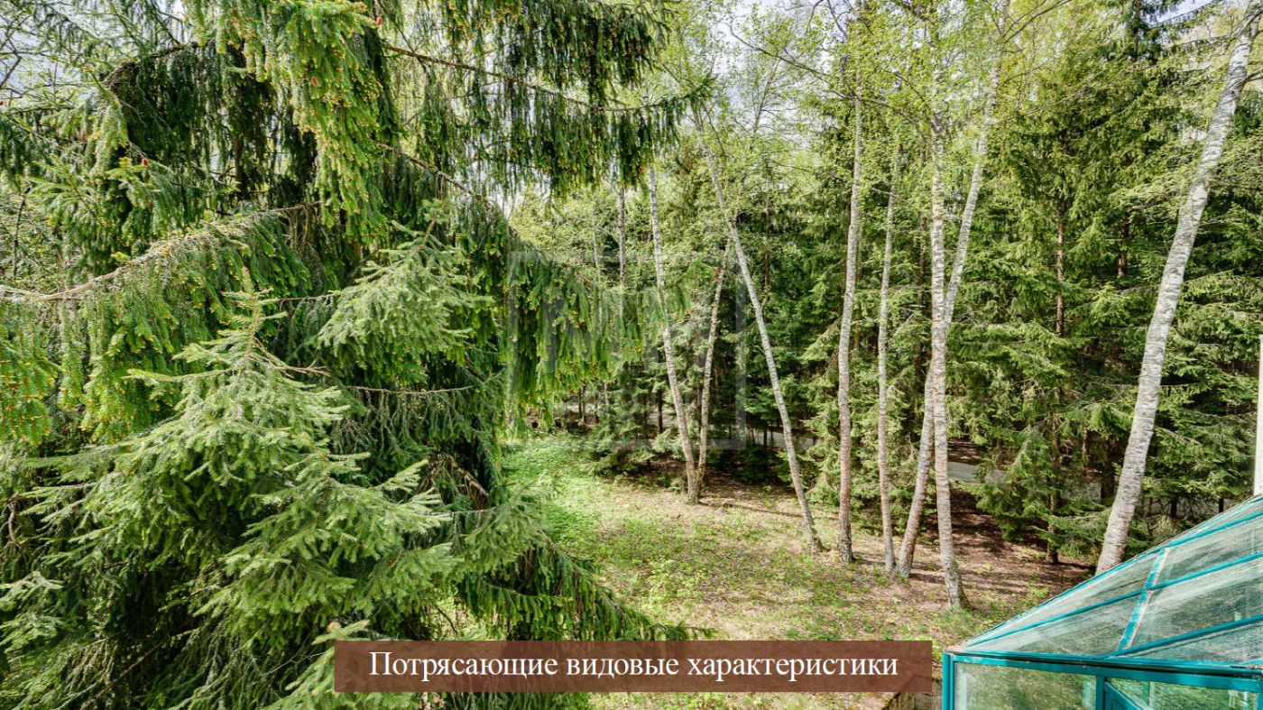 Лесной участок для строительства резиденции - фото 3