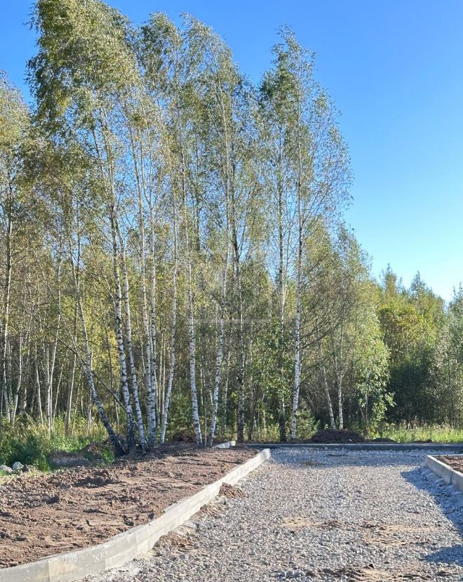 Участок по интересной цене в КП Ильинский Ландшафт - фото 3
