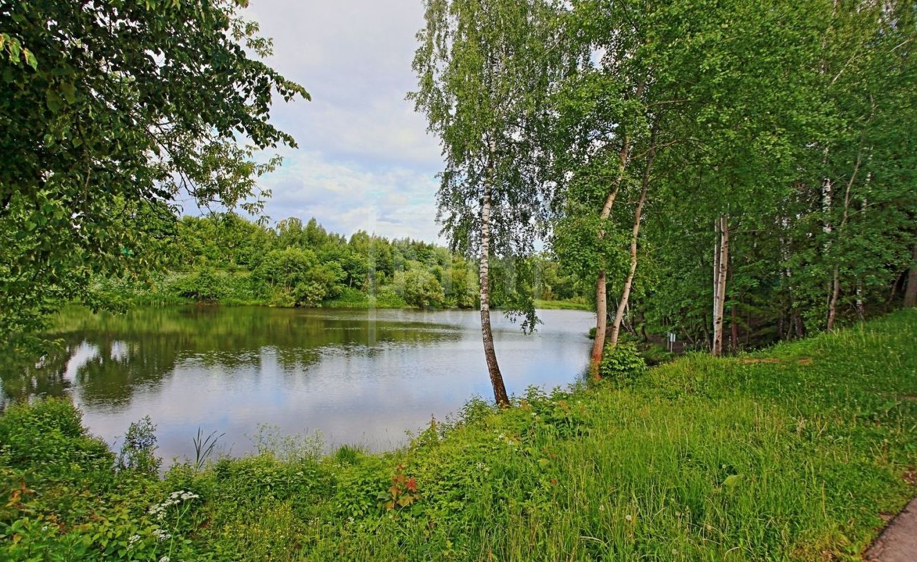 Участок на первой линии воды в Подушкино - фото 3