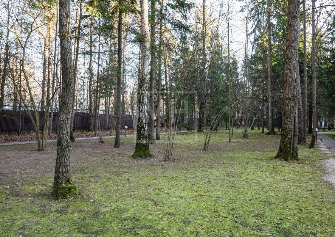 Лесная Быль