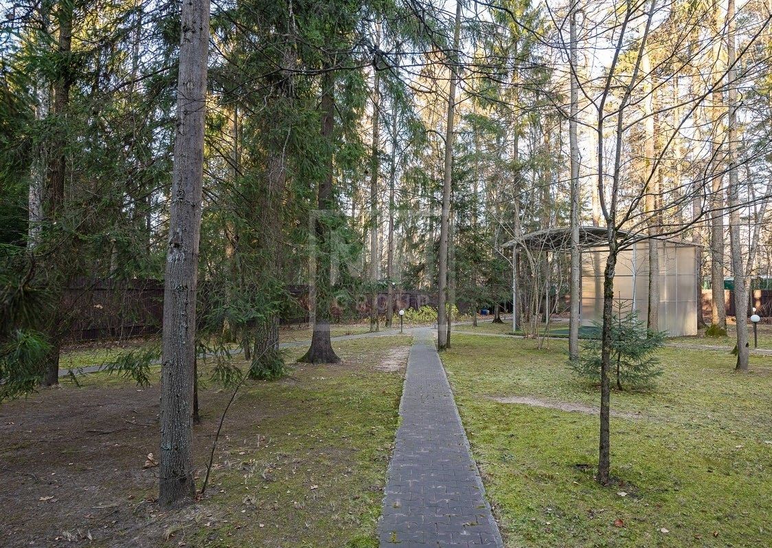 Лесной участок в Солослово - фото 2