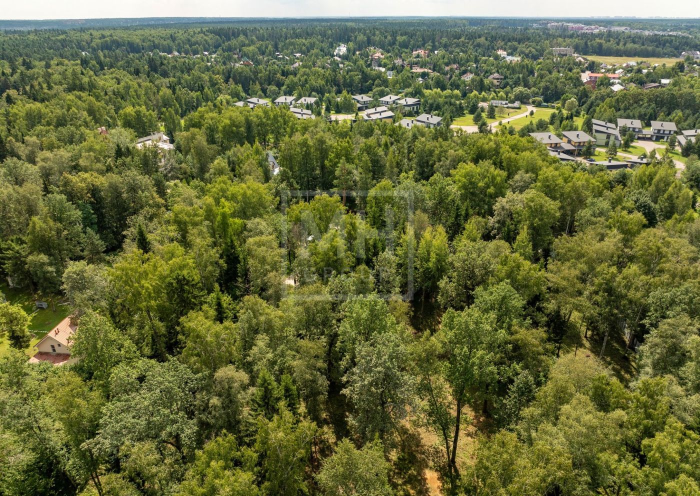 Лесной участок в Солослово - фото 3