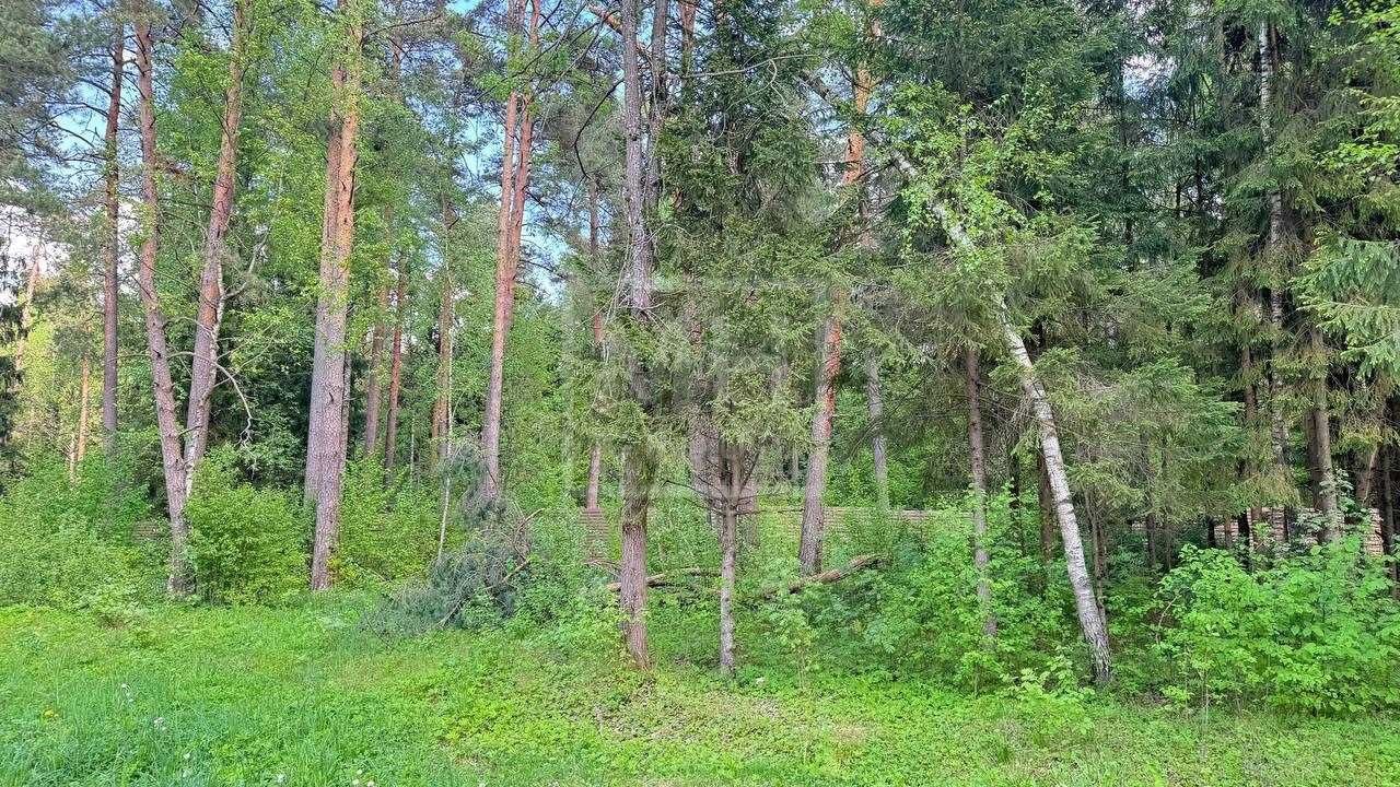 Лесной участок в КП LES Маслово - фото 4