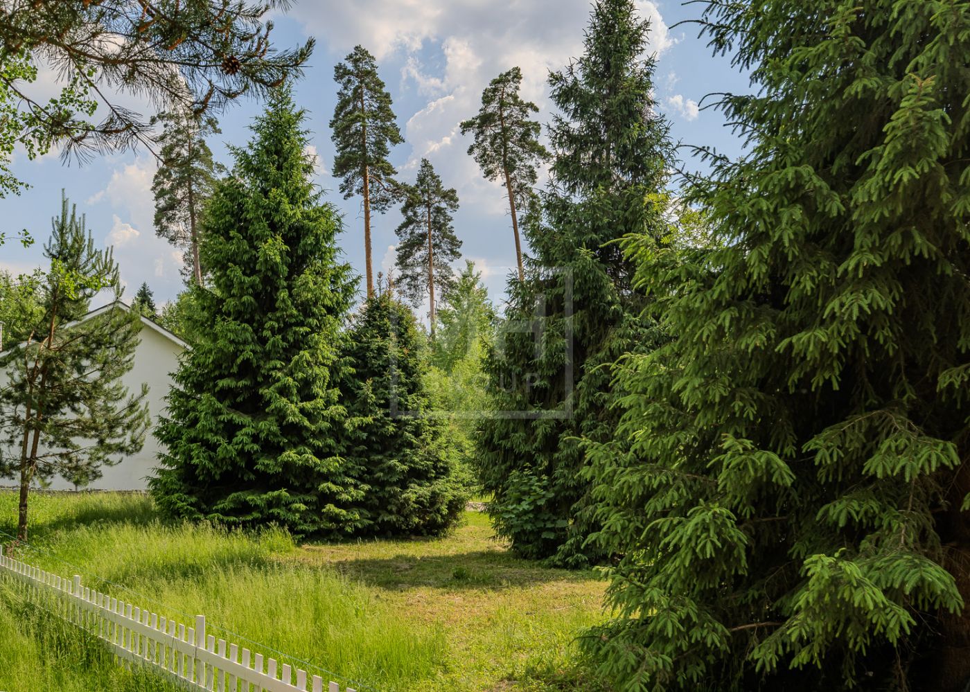 Лесной участок в новом поселке - фото 6