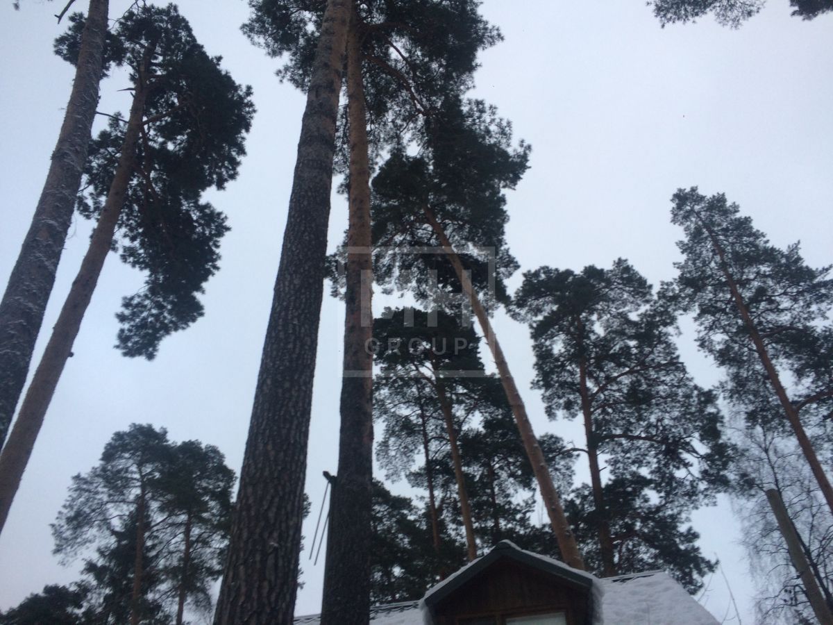 Продажа земельного участка в КП "Новь" - фото 3